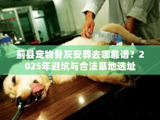 蓟县宠物骨灰安葬去哪靠谱？2025年避坑与合法墓地选址