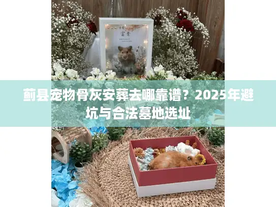蓟县宠物骨灰安葬去哪靠谱？2025年避坑与合法墓地选址