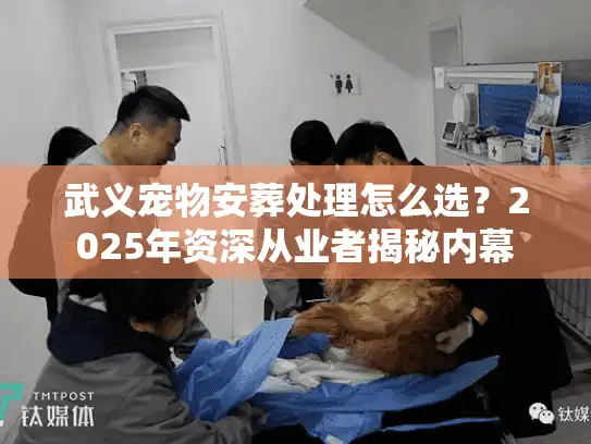 武义宠物安葬处理怎么选？2025年资深从业者揭秘内幕