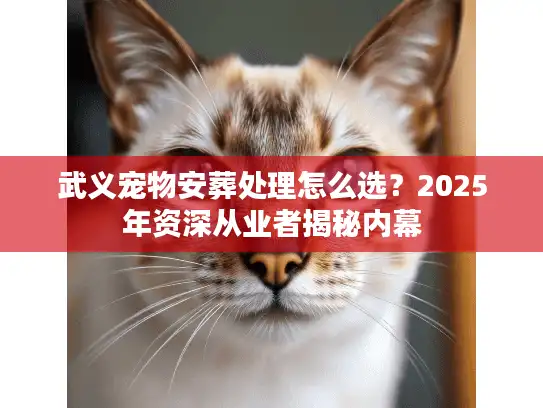 武义宠物安葬处理怎么选？2025年资深从业者揭秘内幕