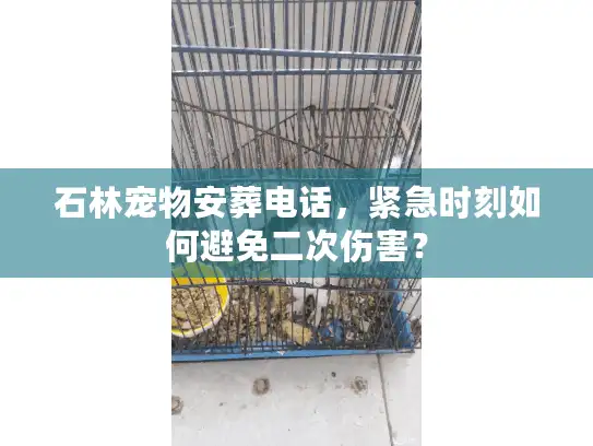 石林宠物安葬电话，紧急时刻如何避免二次伤害？