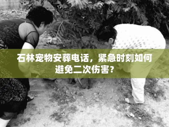 石林宠物安葬电话，紧急时刻如何避免二次伤害？