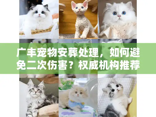 广丰宠物安葬处理，如何避免二次伤害？权威机构推荐