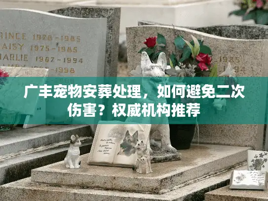 广丰宠物安葬处理，如何避免二次伤害？权威机构推荐