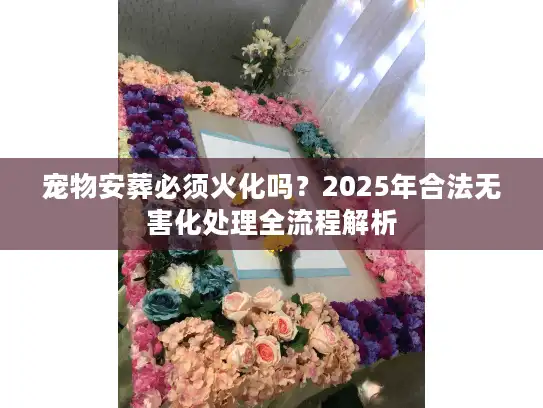 宠物安葬必须火化吗？2025年合法无害化处理全流程解析