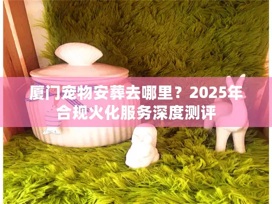 厦门宠物安葬去哪里？2025年合规火化服务深度测评