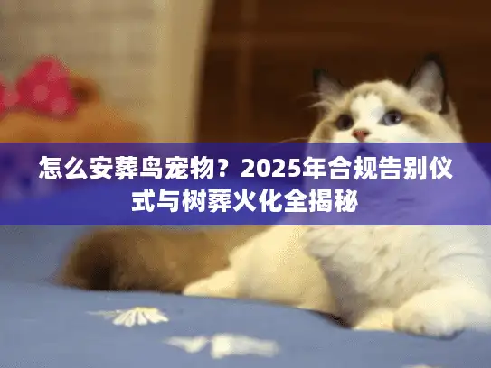 怎么安葬鸟宠物？2025年合规告别仪式与树葬火化全揭秘