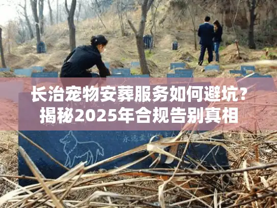 长治宠物安葬服务如何避坑？揭秘2025年合规告别真相
