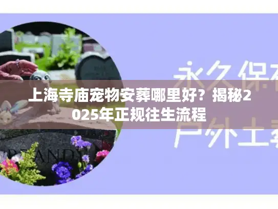 上海寺庙宠物安葬哪里好？揭秘2025年正规往生流程