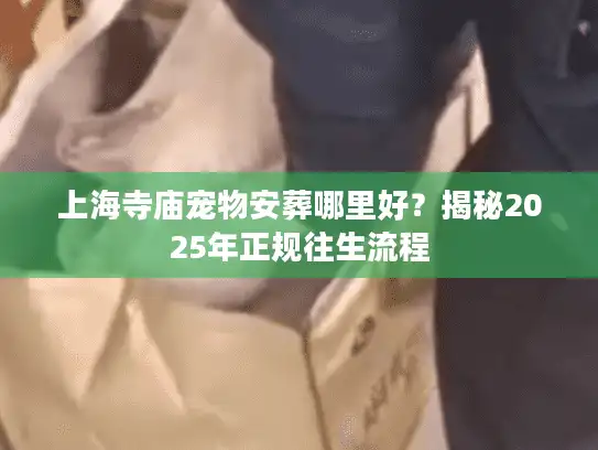 上海寺庙宠物安葬哪里好？揭秘2025年正规往生流程