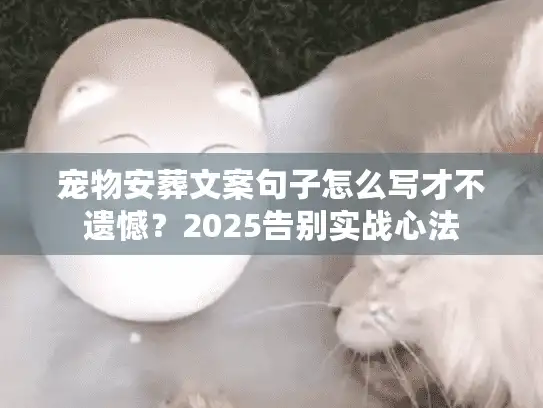宠物安葬文案句子怎么写才不遗憾？2025告别实战心法