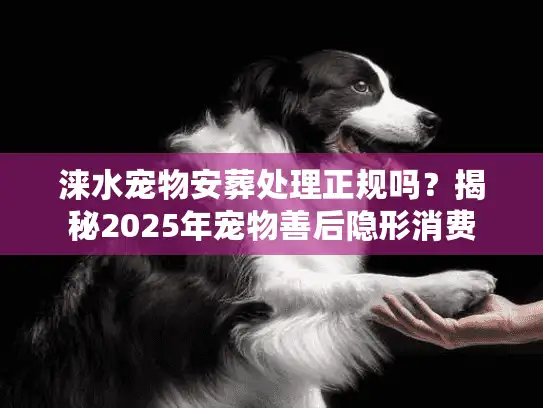 涞水宠物安葬处理正规吗？揭秘2025年宠物善后隐形消费