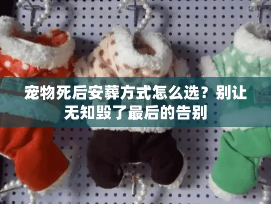 宠物死后安葬方式怎么选？别让无知毁了最后的告别