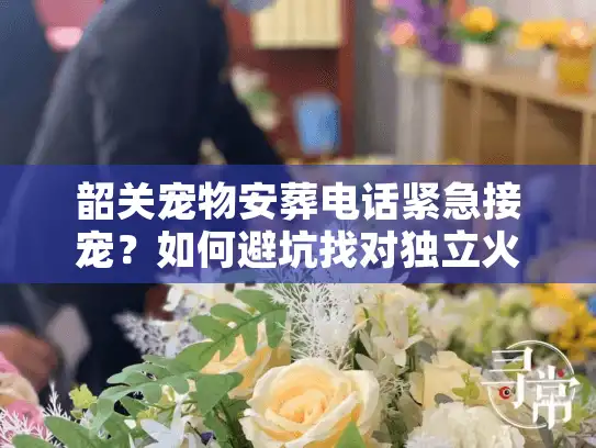 韶关宠物安葬电话紧急接宠？如何避坑找对独立火化善后