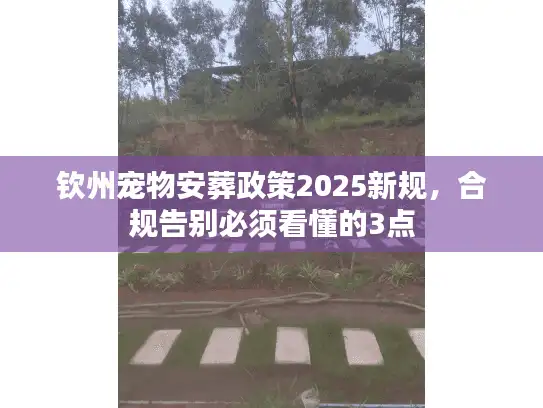 钦州宠物安葬政策2025新规，合规告别必须看懂的3点