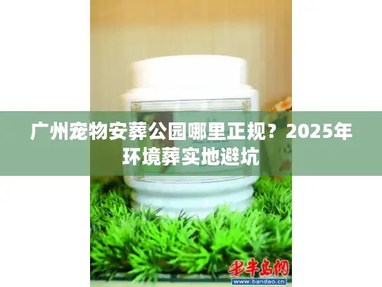 广州宠物安葬公园哪里正规？2025年环境葬实地避坑