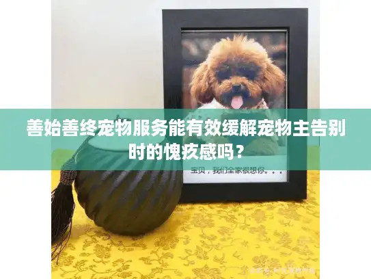 善始善终宠物服务能有效缓解宠物主告别时的愧疚感吗？