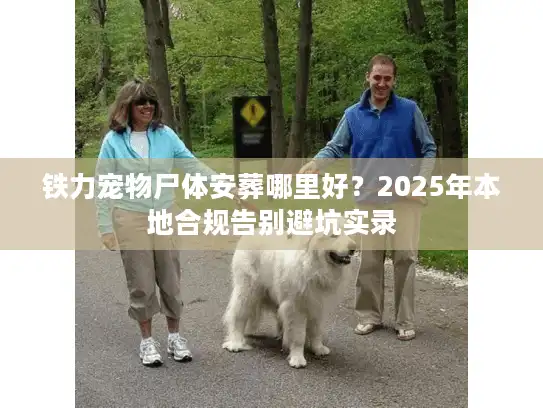 铁力宠物尸体安葬哪里好？2025年本地合规告别避坑实录