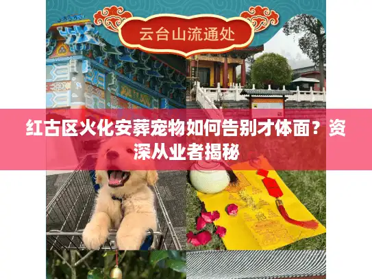 红古区火化安葬宠物如何告别才体面？资深从业者揭秘