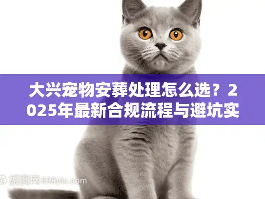 大兴宠物安葬处理怎么选？2025年最新合规流程与避坑实况