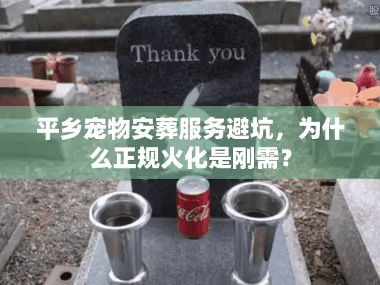 平乡宠物安葬服务避坑，为什么正规火化是刚需？