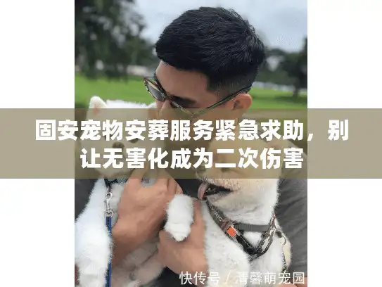 固安宠物安葬服务紧急求助，别让无害化成为二次伤害