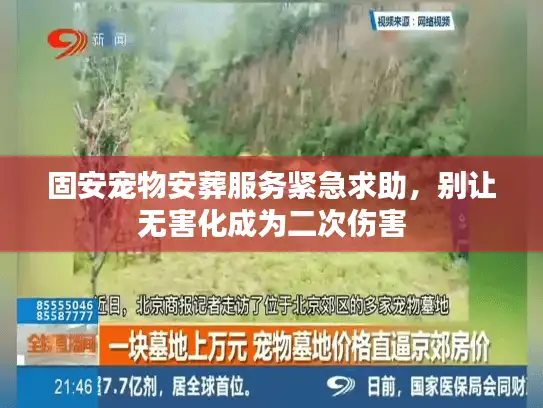固安宠物安葬服务紧急求助，别让无害化成为二次伤害