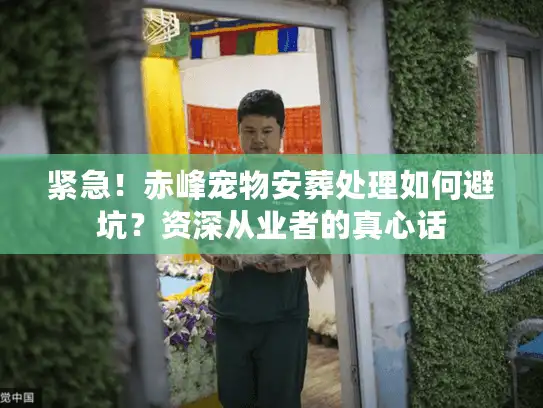 紧急！赤峰宠物安葬处理如何避坑？资深从业者的真心话