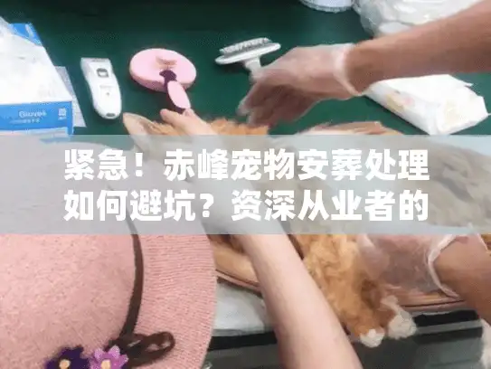紧急！赤峰宠物安葬处理如何避坑？资深从业者的真心话