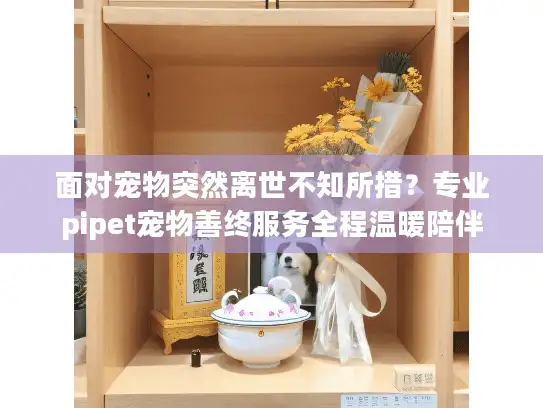面对宠物突然离世不知所措？专业pipet宠物善终服务全程温暖陪伴