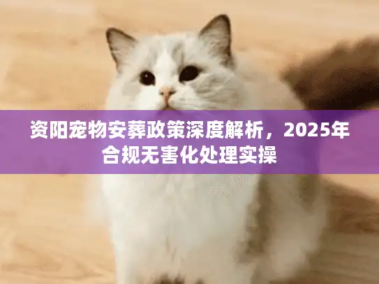 资阳宠物安葬政策深度解析，2025年合规无害化处理实操