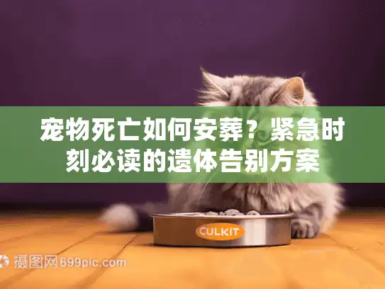 宠物死亡如何安葬？紧急时刻必读的遗体告别方案