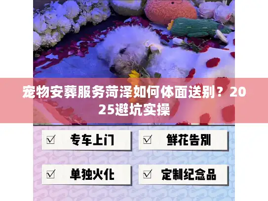 宠物安葬服务菏泽如何体面送别？2025避坑实操