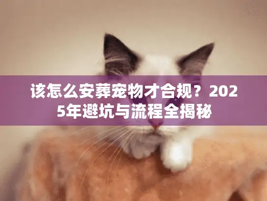 该怎么安葬宠物才合规？2025年避坑与流程全揭秘