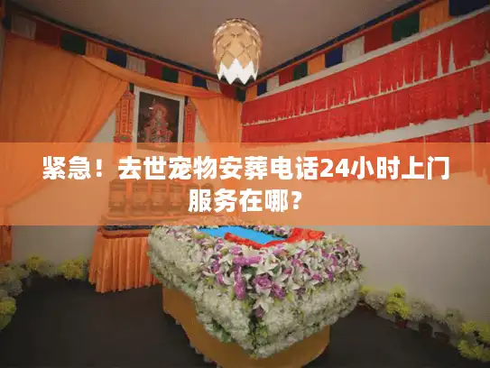 紧急！去世宠物安葬电话24小时上门服务在哪？