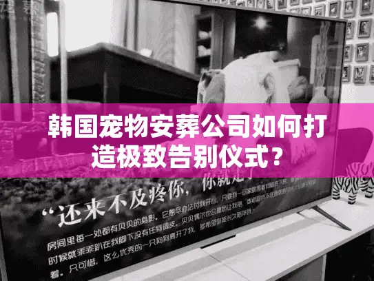 韩国宠物安葬公司如何打造极致告别仪式？