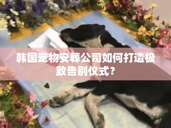 韩国宠物安葬公司如何打造极致告别仪式？