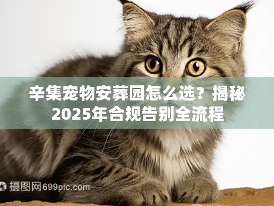 辛集宠物安葬园怎么选？揭秘2025年合规告别全流程