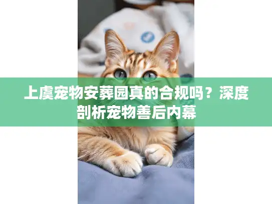 上虞宠物安葬园真的合规吗？深度剖析宠物善后内幕