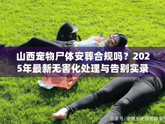 山西宠物尸体安葬合规吗？2025年最新无害化处理与告别实录