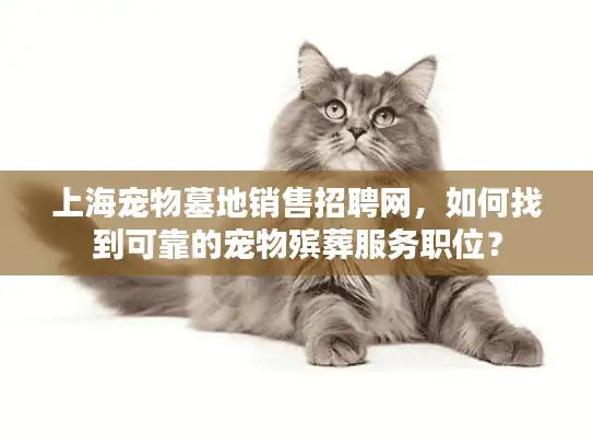 上海宠物墓地销售招聘网，如何找到可靠的宠物殡葬服务职位？