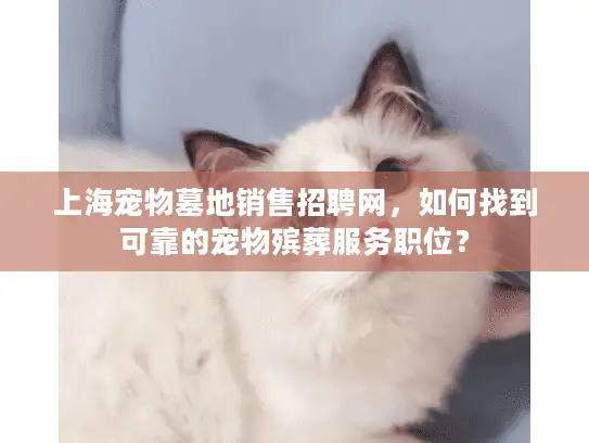 上海宠物墓地销售招聘网，如何找到可靠的宠物殡葬服务职位？
