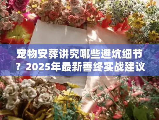 宠物安葬讲究哪些避坑细节？2025年最新善终实战建议