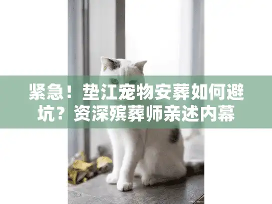 紧急！垫江宠物安葬如何避坑？资深殡葬师亲述内幕