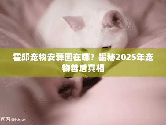 霍邱宠物安葬园在哪？揭秘2025年宠物善后真相