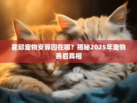 霍邱宠物安葬园在哪？揭秘2025年宠物善后真相