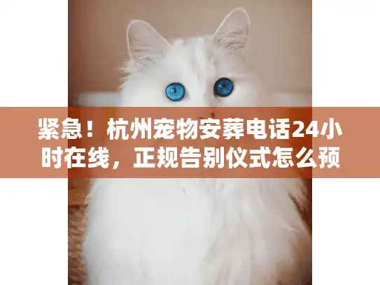 紧急！杭州宠物安葬电话24小时在线，正规告别仪式怎么预约？