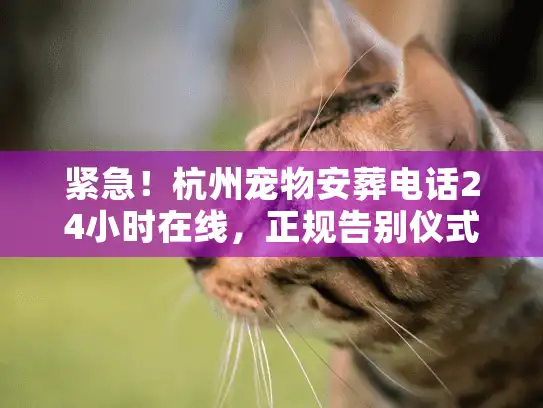 紧急！杭州宠物安葬电话24小时在线，正规告别仪式怎么预约？