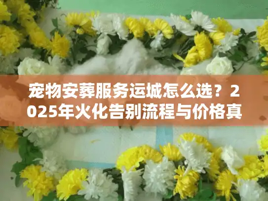 宠物安葬服务运城怎么选？2025年火化告别流程与价格真相