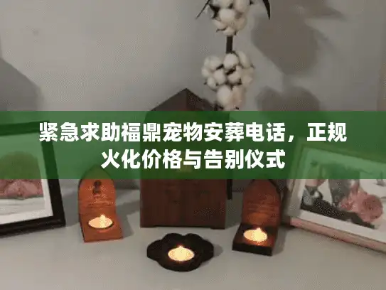 紧急求助福鼎宠物安葬电话，正规火化价格与告别仪式